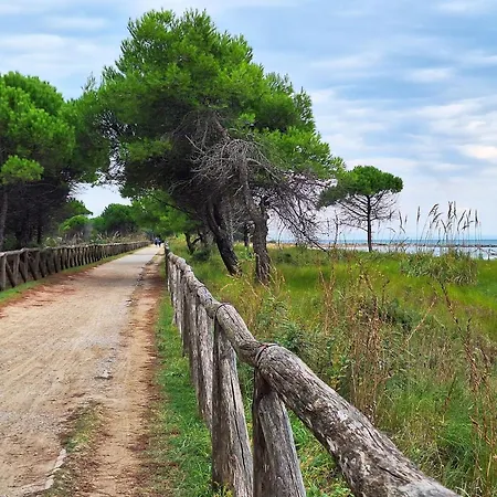 Sea-front In An Excellent Position 比比翁